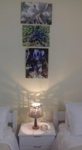 Отель Angeliki Pension  Катапола